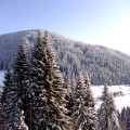 panorama_010