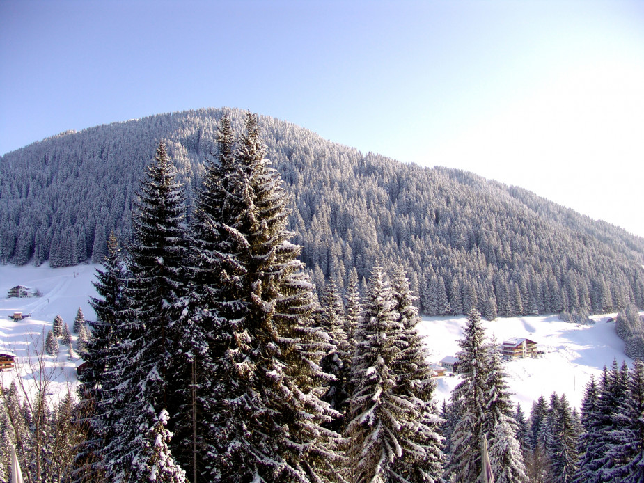 panorama_010