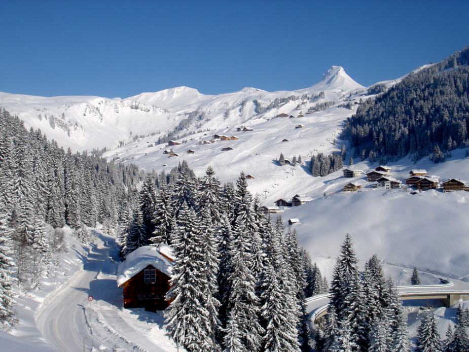 panorama_015