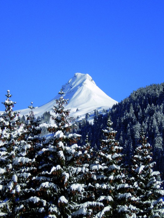 Panorama_03