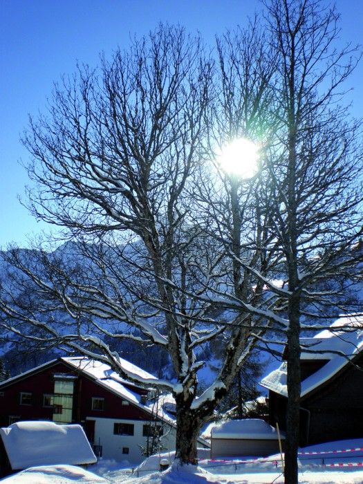 Panorama_07