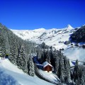Panorama_11