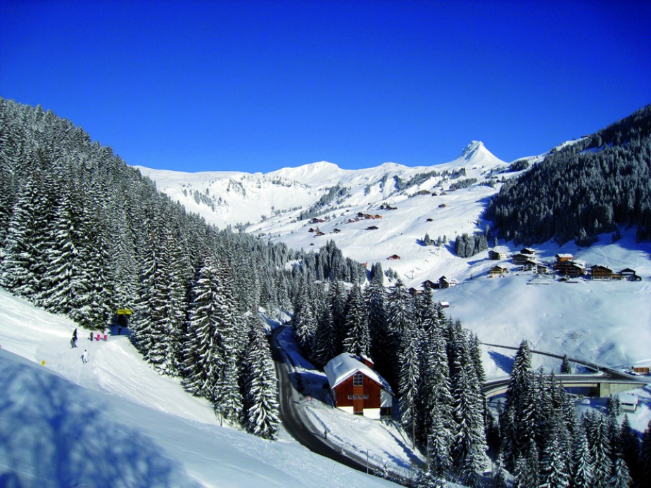 Panorama_11