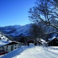 Panorama_14
