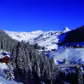 Panorama_15