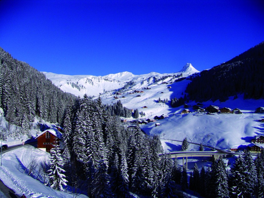Panorama_15