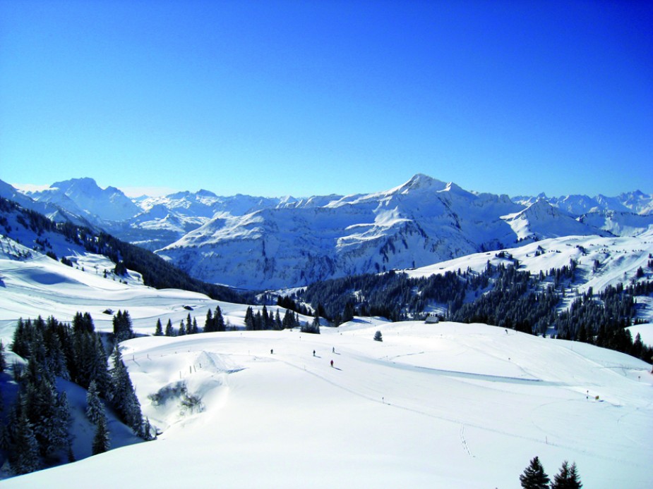 Panorama_22