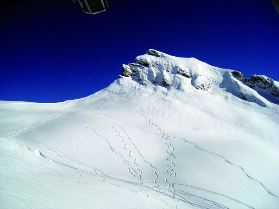 Panorama_29