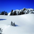 Panorama_30