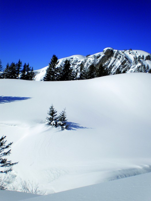 Panorama_30
