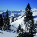 Panorama_31