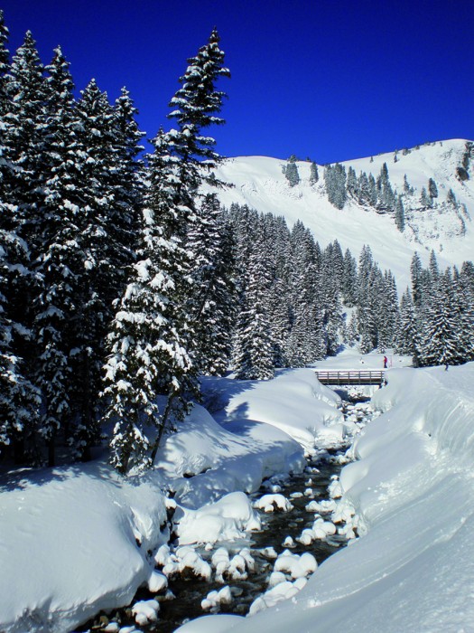 Panorama_32