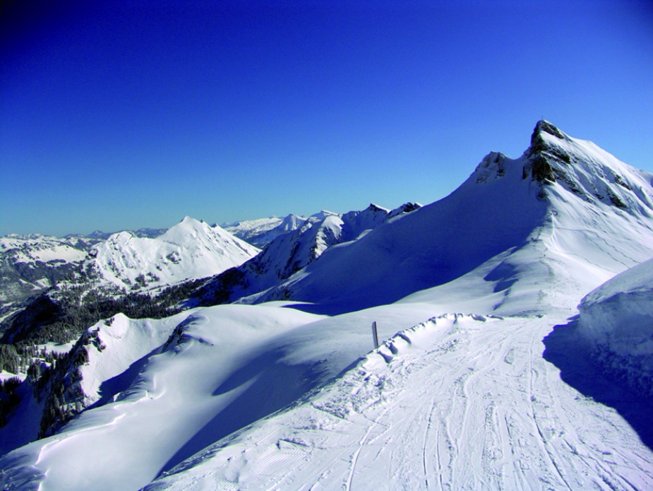 Panorama_35