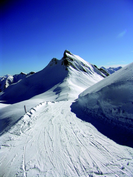 Panorama_37