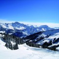 Panorama_39
