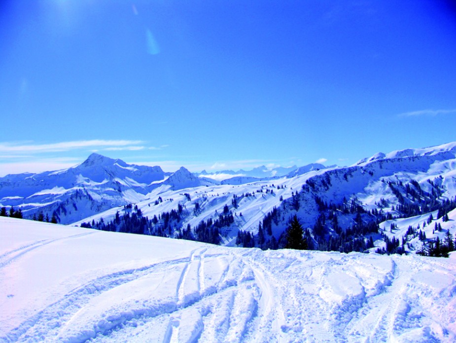 Panorama_46