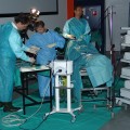 Knie und Schulter Symposium_02