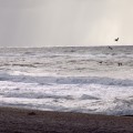 Sylt_Panorama_10