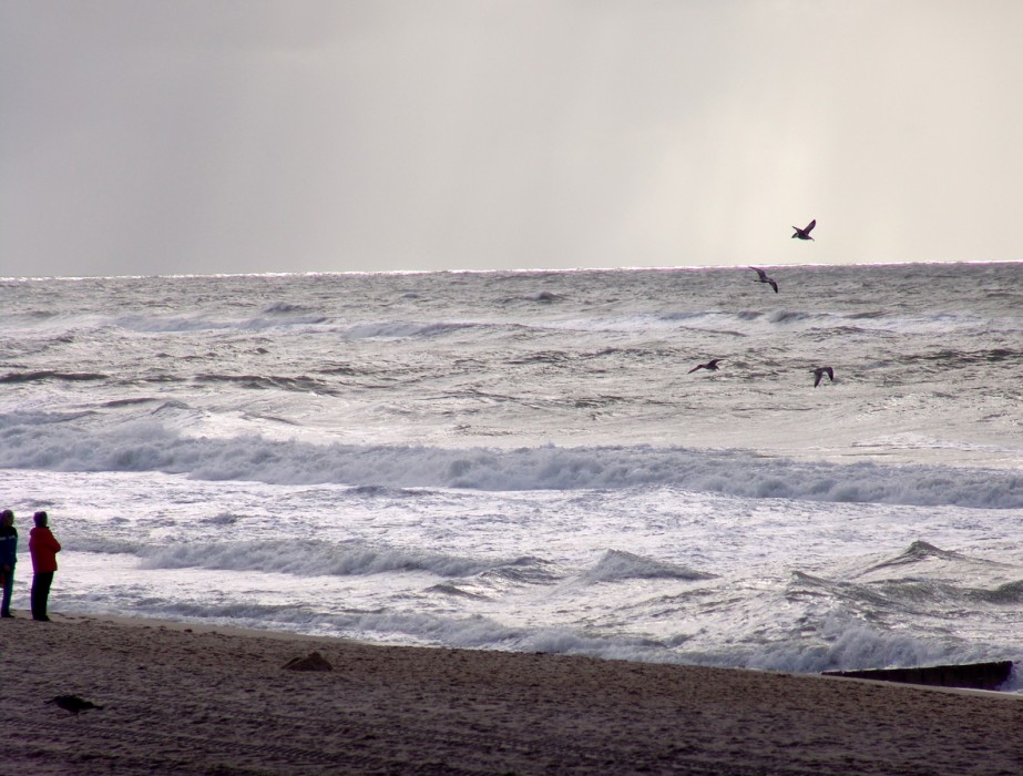 Sylt_Panorama_10